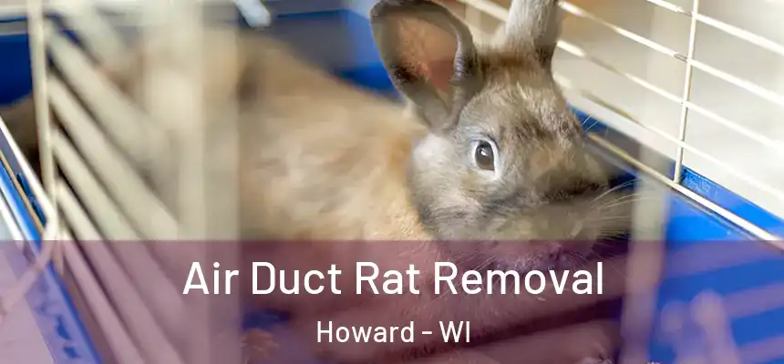  Air Duct Rat Removal Howard - WI