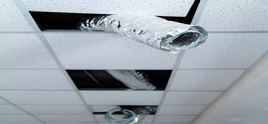 Our Air Duct Pet Hair Removal Services in Howard, WI