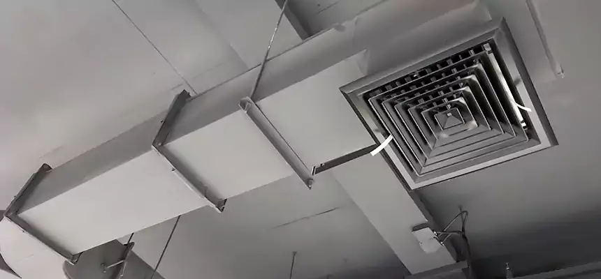 Restorative Allergy Relief Vent Cleaning – Coil, Blower & Housing Detail in Howard