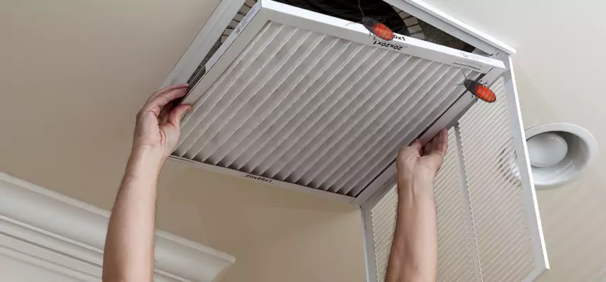 Our Insect Removal from Air Ducts Services in Howard, WI
