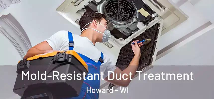  Mold-Resistant Duct Treatment Howard - WI