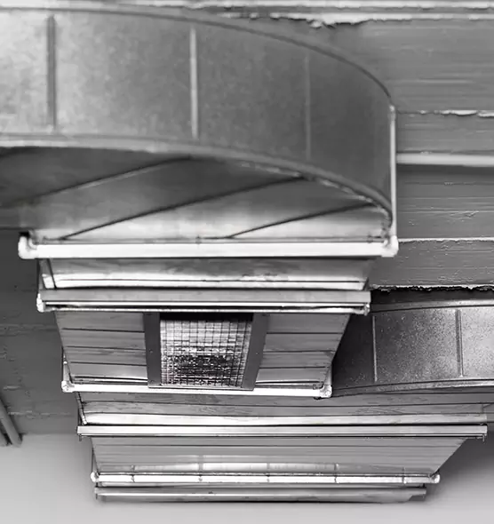 Professional Air Duct Pest Removal in Howard, WI