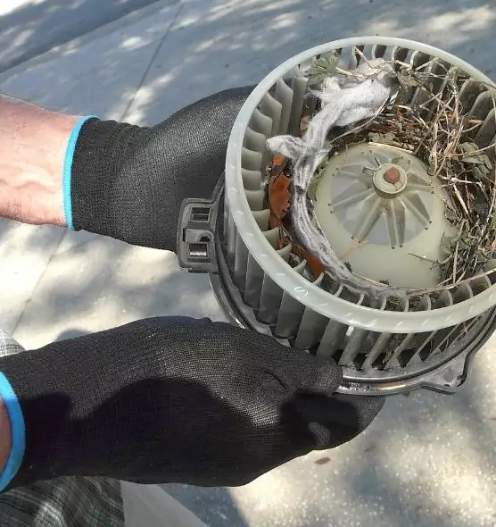 About Air Duct Rat Removal in Howard, WI