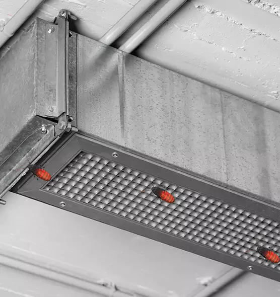 Affordable Insect Removal from Air Ducts in Howard, WI