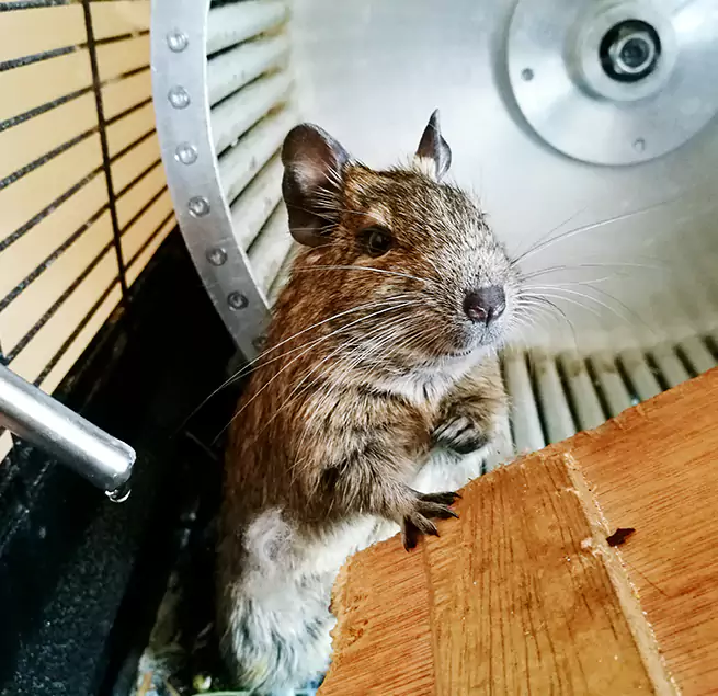 Why Homeowners & Businesses Trust Us Howard, WI